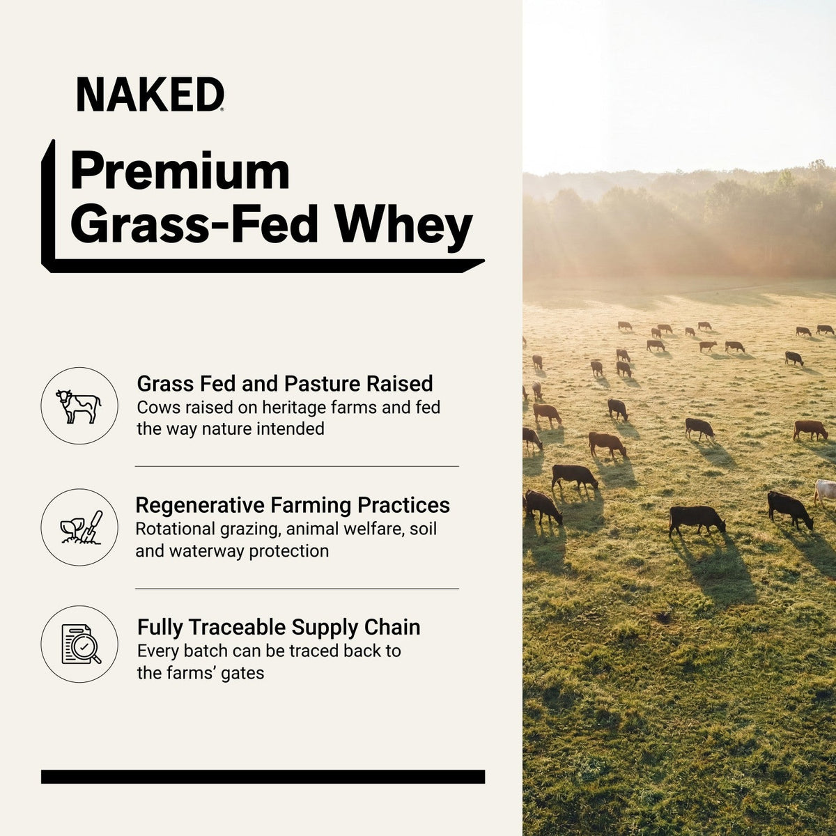 NAKED Whey Chocolate Peanut Butter 5LB - product image 2
